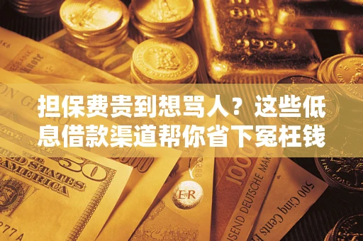 济南担保费贵到想骂人？这些低息借款渠道帮你省下冤枉钱