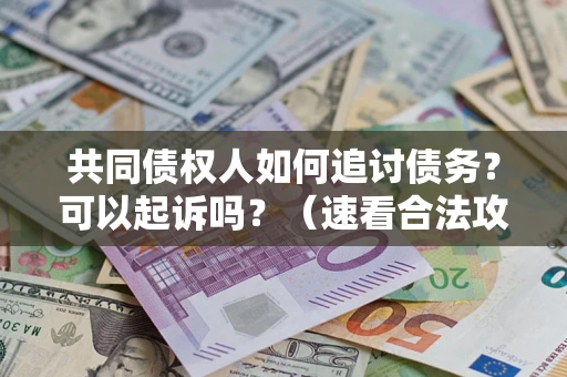 济南共同债权人如何追讨债务？可以起诉吗？（速看合法攻略）